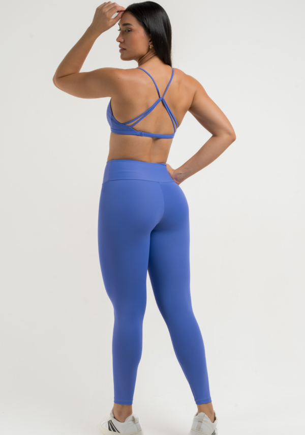 Conjunto Tina – Hortência