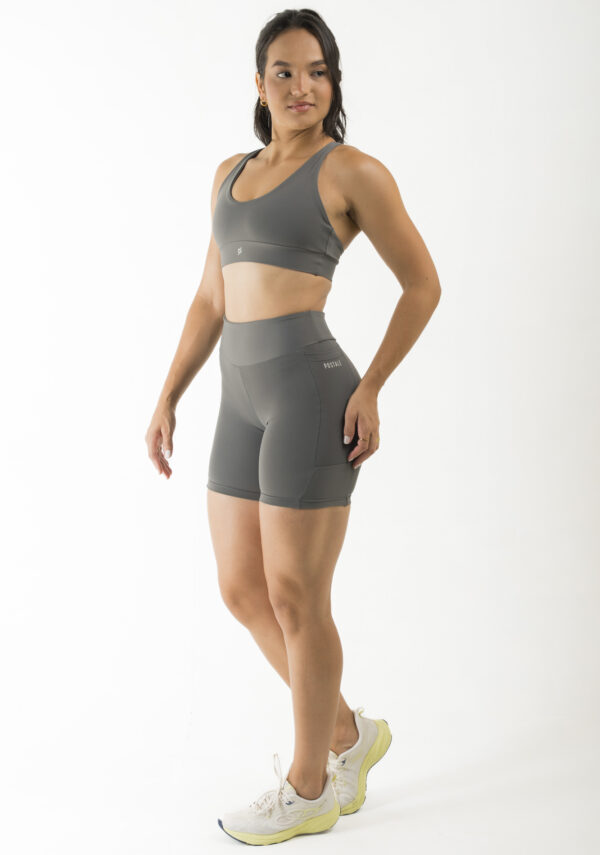 Conjunto Julia – Gris